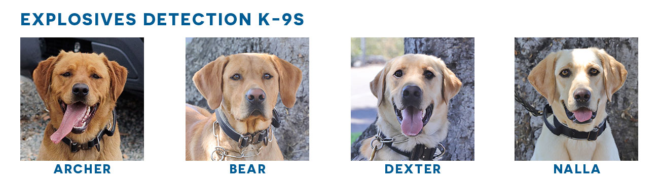 Explosive-Detection-dogs--K-9s_Patrol