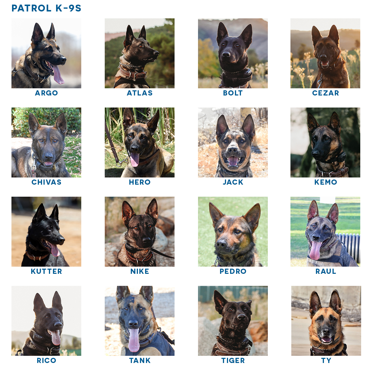 Sheriff's Patrol K-9s Argo, Atlas, Bolt, Cezar, Chivas, Hero, Jack, Kemo, Kutter, Nike, Pedro, Rico, Tank, Tiger, Raul and Ty.