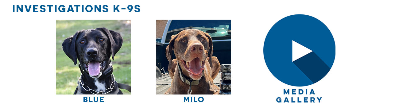 Image of black and brown dogs that are named Blue and Milo with a watch videos icon for investigations k-9s