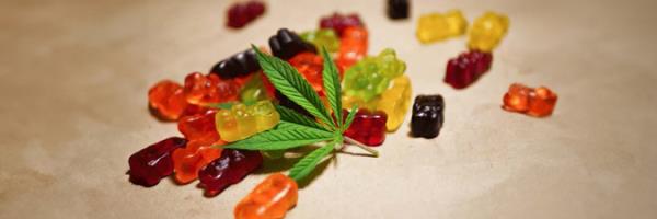 THC and Hemp with gummies which are colorfull with weed leaf.