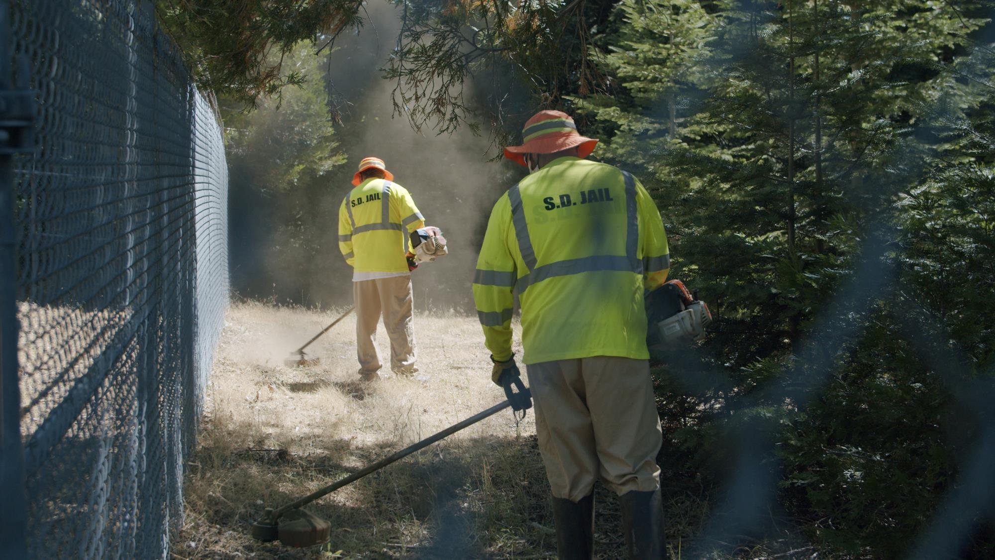 Brush Fire Abatement