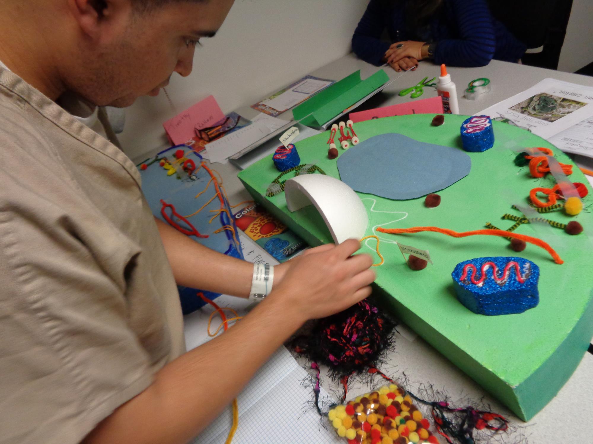 Student working on science project