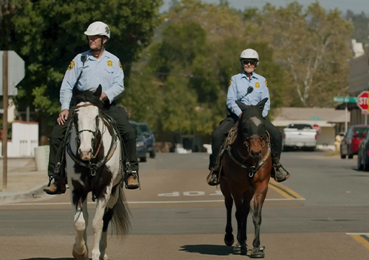 Mounted Unit