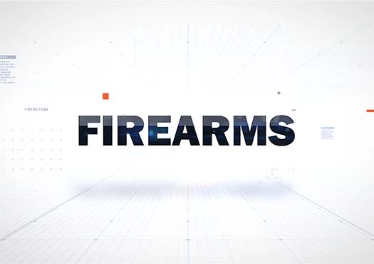 FIREARMS - Website