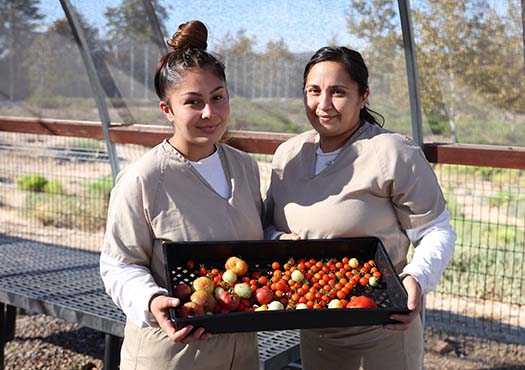 Gardening Program