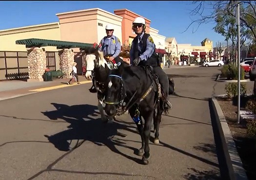 Volunteer Mounted Unit