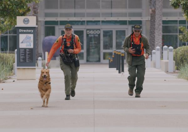 SAR K-9 Training Video