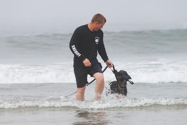 K-9 water training website